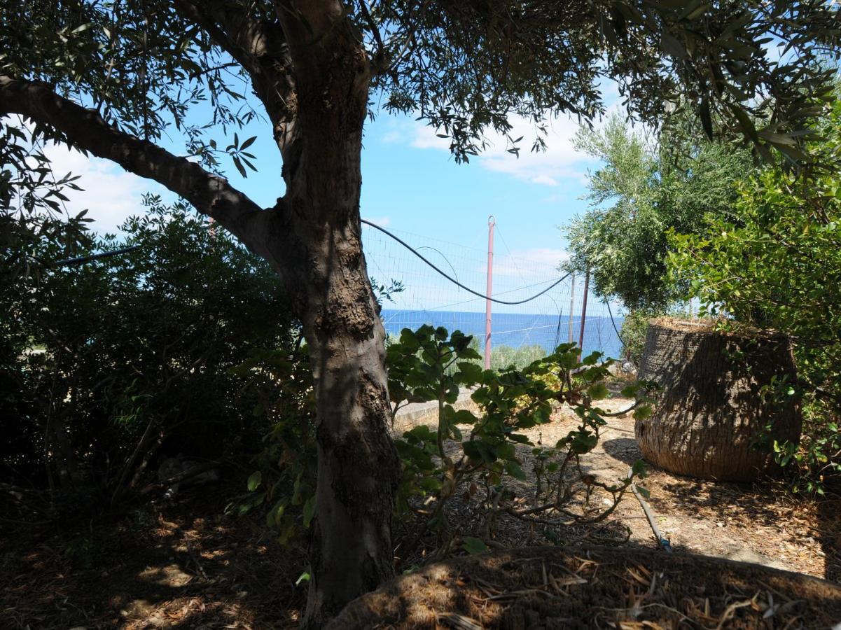 Appartamento Aris House - Cretan Hospitality Agios Nikolaos Esterno foto